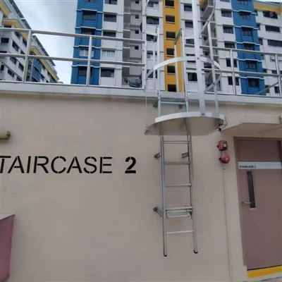 Aluminium Cat Ladder With Rail
